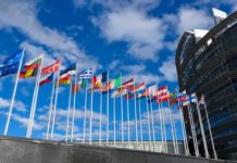 Defence cooperation in Europe: towards greater efficiency?