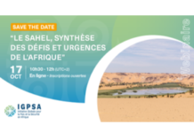 «The Sahel, a synthesis of Africa's challenges and emergencies»: Camille Laville takes part in the IGPSA webinar